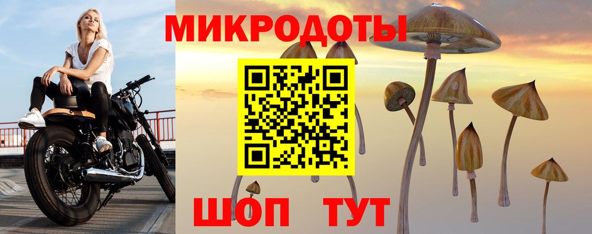 Псилоцибиновые грибы прущие грибы  Избербаш 