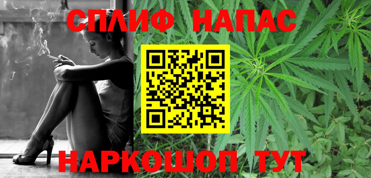 Бошки марихуана план  Каннабис ГИДРОПОН  Каннабис индика  Избербаш 